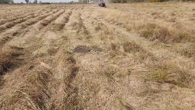 Сенокос в сентябре смотреть онлайн