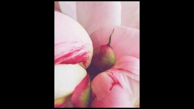 Композиция в фотографии - "О композиции от А. до Ю." смотреть онлайн