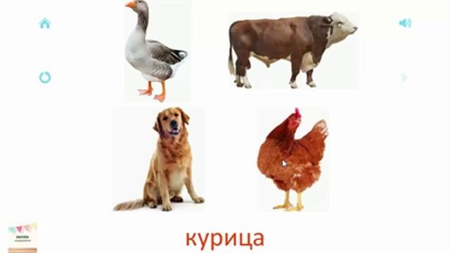 Развивающие игры  для детей Домашние животные часть 1