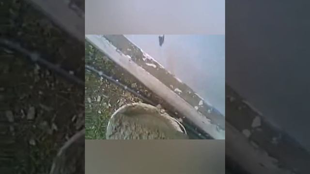 Штукатурка стен малярным валиком! смотреть онлайн