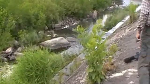 Водный поход по рекам Синюха и Южный буг день 4