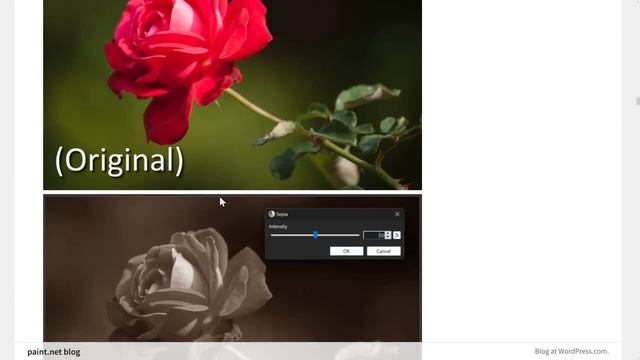 Paint.NET 5 Released - GPU, GPU, GPU and More GPU смотреть онлайн