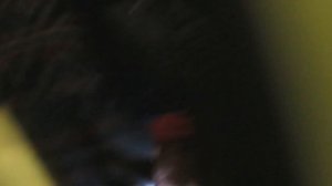 Где находятся номера (VIN) на ravon r2