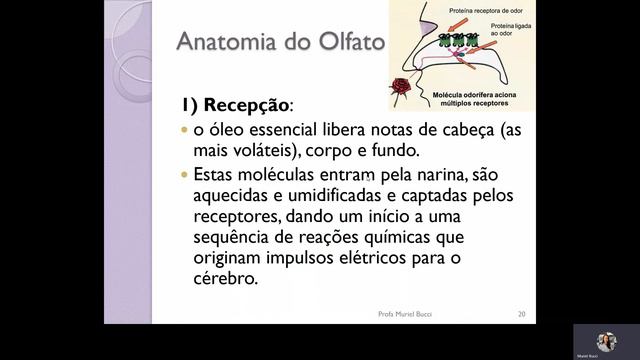 Aromaterapia Profa Muriel смотреть онлайн