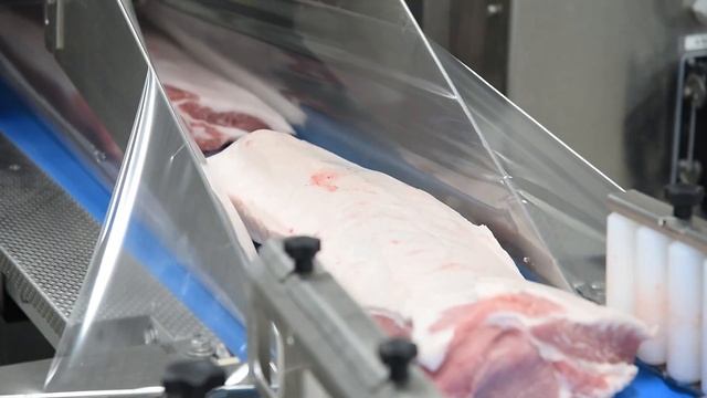 ОФИЦИАЛЬНОЕ ОТКРЫТИЕ МПП АГРОЭКО 2023 смотреть онлайн