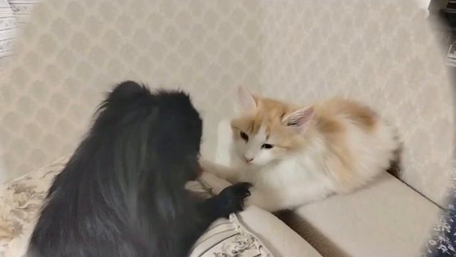 Курортный роман Берты и Кеши. смотреть онлайн
