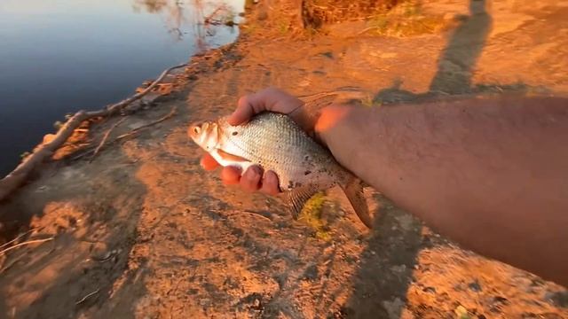 Рыбалка на реке Тура в Тюмени смотреть онлайн