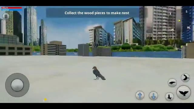 Thug Life Pigeon Simulator - Birds Simulator 2020 _ Gameplay .G.m смотреть онлайн