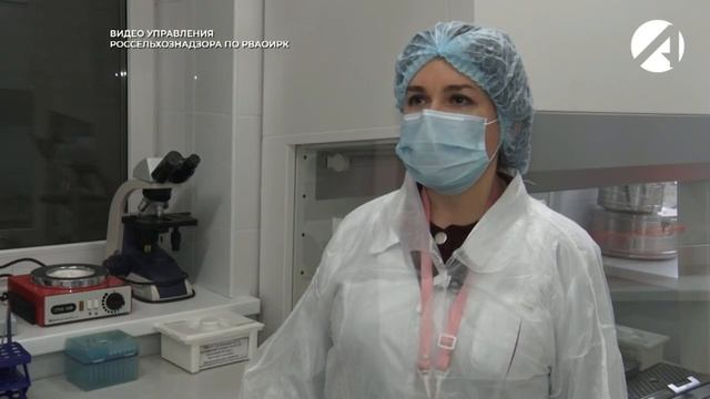 Порядок оформления экспорта рыбной продукции в страны Евросоюза смотреть онлайн