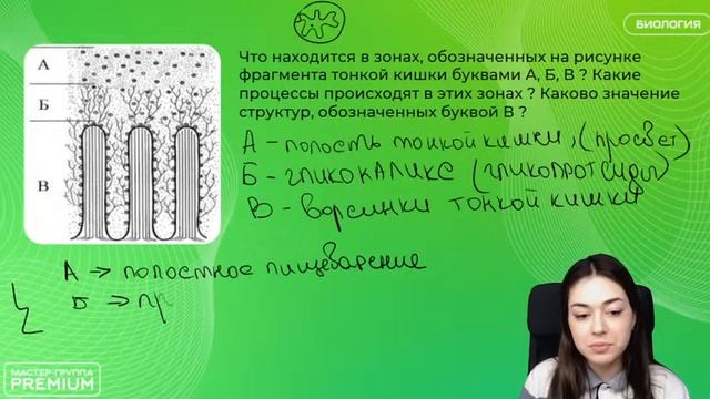РАЗБОР САМЫХ СТРАННЫХ ЗАДАНИЙ ИЗ ЕГЭ ПО БИОЛОГИИ | БИОЛОГИЯ 10 КЛАСС | 99 БАЛЛОВ смотреть онлайн