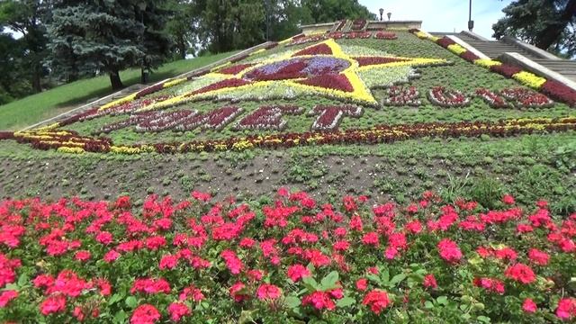 Футаж клумба с датой из цветов смотреть онлайн
