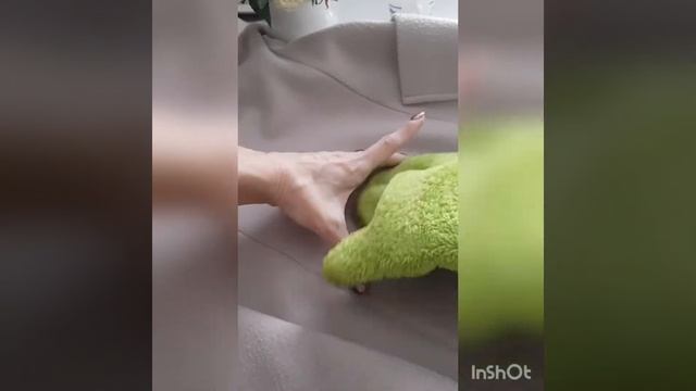 Пятно на пальто? Убрать легко) смотреть онлайн