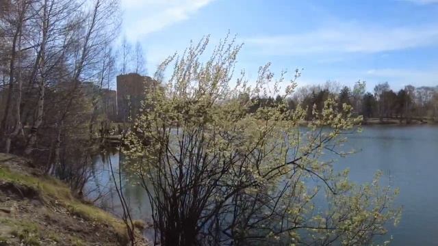 Нижний Новгород .Автозавод .Озеро .24 апреля