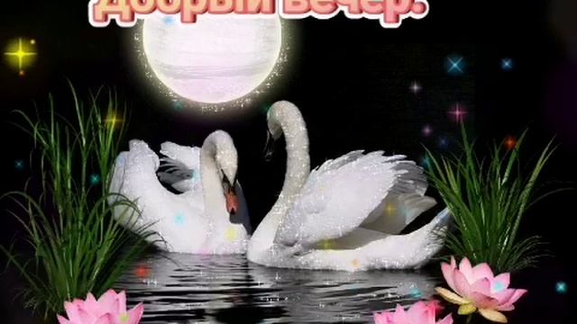 Добрый вечер! САМАЯ КРАСИВАЯ ОТКРЫТКА С ДОБРЫМ ВЕЧЕРОМ! Хорошего вечера!(2020) смотреть онлайн