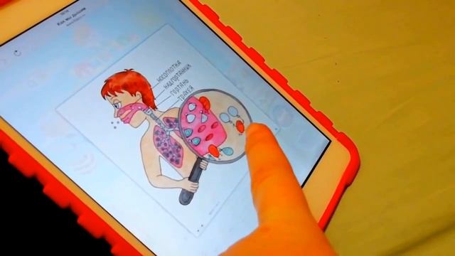 КАК МЫ ДЫШИМ для детей смотреть онлайн