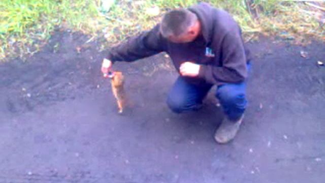 Яшка. Еврашка смотреть онлайн