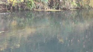 Береговой отцеп для воблеров "Омут"