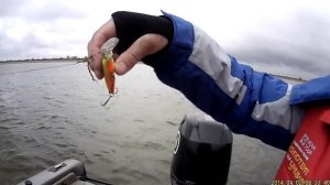 Рыбалка в Астрахани - судак в апреле.