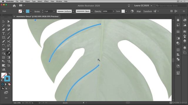 Pen Tool and Width Profiles Monstera Leaf Drawing in Illustrator смотреть онлайн