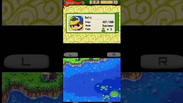 River King: Mystic Valley (USA) DS ROM смотреть онлайн