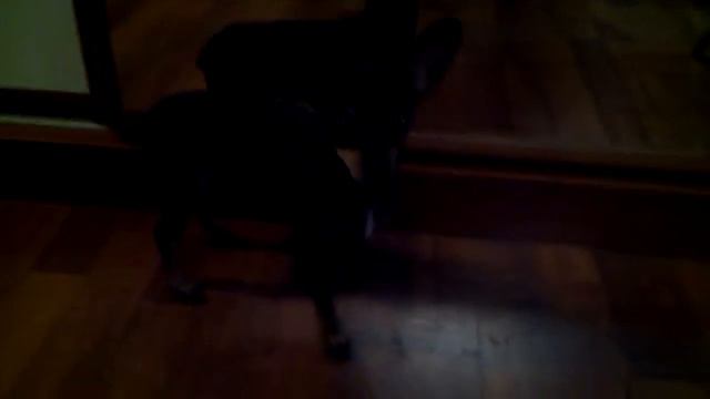 VID 20140121 194320 смотреть онлайн