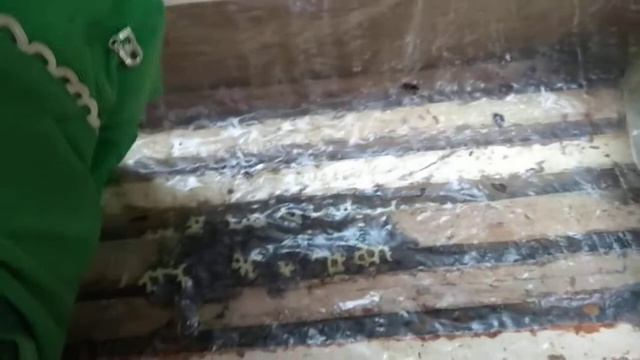 осмотр пчёл в январе и удивление от увиденного смотреть онлайн