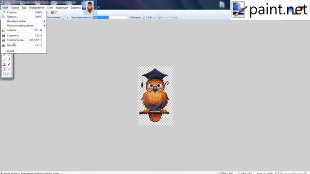Как сделать прозрачный фон. С помощью PAINT.NET смотреть онлайн