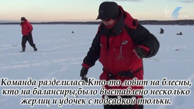 Река Волга, Красный Оселок. Ловля берша смотреть онлайн