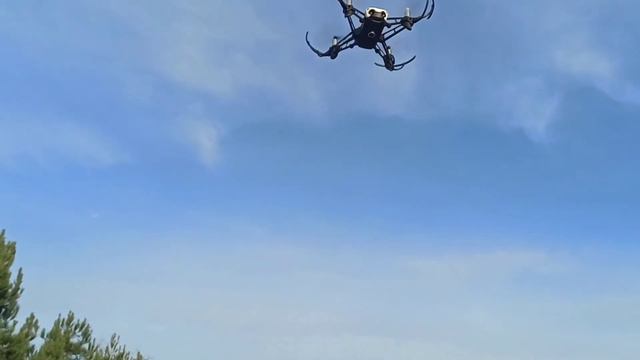 Parrot minidrone Mambo смотреть онлайн