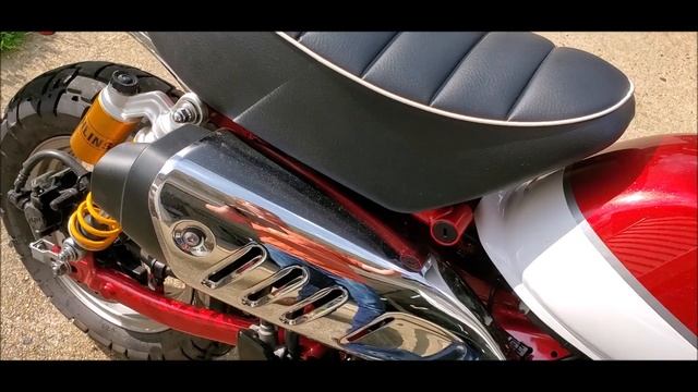 Honda Monkey 125 Takegawa STD Exhaust
