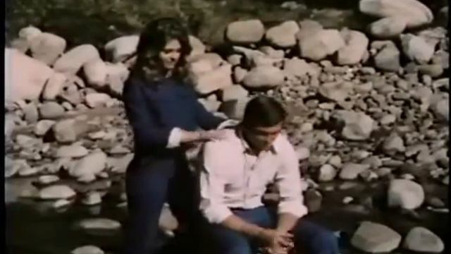 Lee Majors and Lindsay Wagner смотреть онлайн