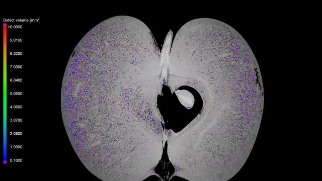 Micro CT Scan of an Apple - Rotated View смотреть онлайн