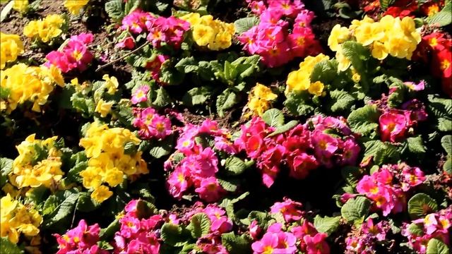 Весна в Стамбуле смотреть онлайн