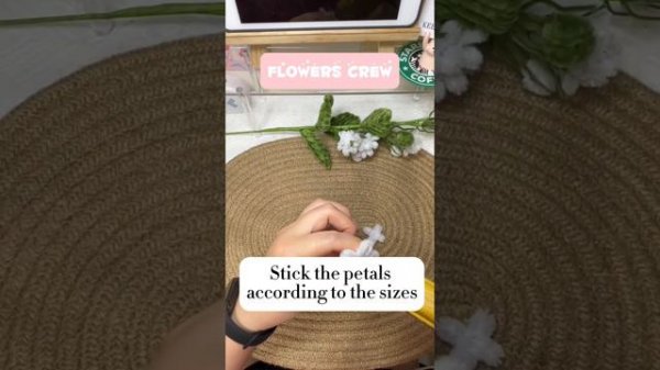 DIY Jasmine Flower | How to Make Flower with Pipe Cleaners | Easy & Fun Craft