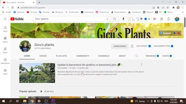 Какие другие каналы У меня есть смотреть онлайн