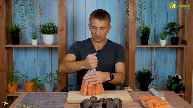 Хранение моркови и свеклы. Эксперимент с песком, опилками и пакетами смотреть онлайн