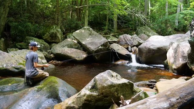 Fly Fishing for Beginners || 5 Things I Wish I Knew When I Started! смотреть онлайн