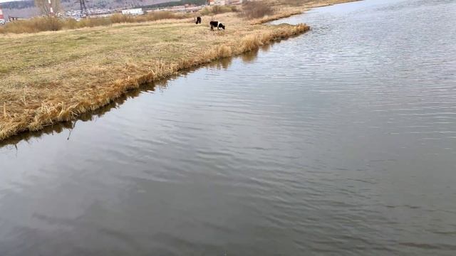 Миасский мост смотреть онлайн