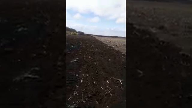 Культиватор КПК-8 в работе видео 1 смотреть онлайн