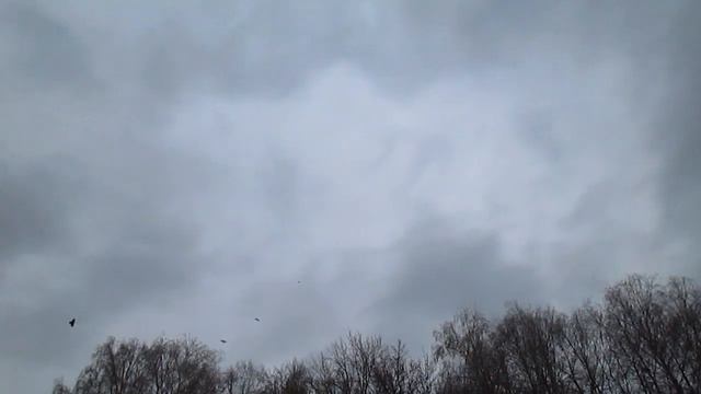 Глубокая осень. Чебоксары. 24 октября 2023 смотреть онлайн