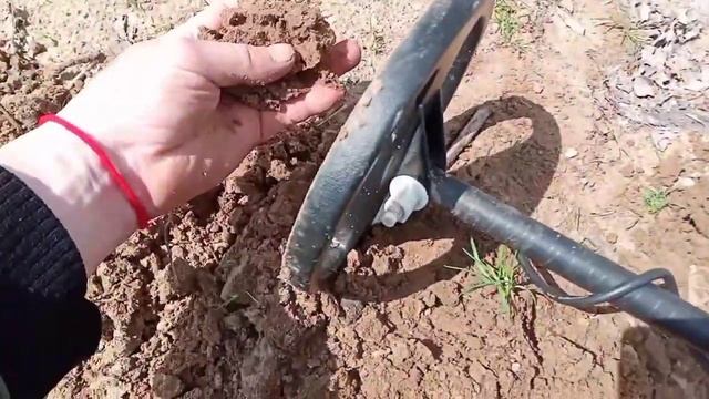 Tgsl первые находки и мои впечатления