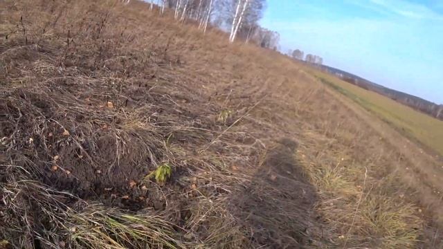 Велокоп с Garrett Ace 150 смотреть онлайн