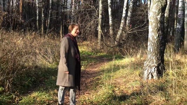 4 ноября 2021 г. смотреть онлайн