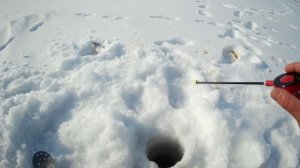 ЛОВЛЯ "ЛЕЩА" НА ЧЕРТИКА С ПОДСАДКОЙ.ЧТО НАСАДИТЬ НА ЧЕРТА? ПОДЛЕЩИК В ФЕВРАЛЕ.