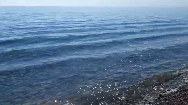 Как сделают биометрию в продовольственных магазинах, чтобы вы не смогли отказаться. смотреть онлайн