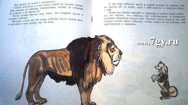 Лев Толстой. Лев и собачка. Быль смотреть онлайн