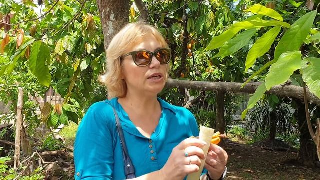 Индонезия Часть 10: Как растёт какао смотреть онлайн