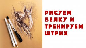 Рисуем белку и тренируем штрих // Урок рисования