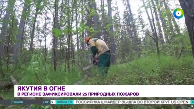 ТК МИР # Новости, Москва, 28 августа 2024
Природные пожары в регионах РФ смотреть онлайн