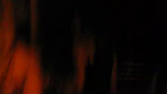 Ilha Grande - Abudefduf смотреть онлайн